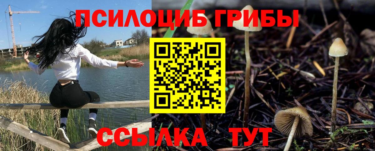 Галлюциногенные грибы Psilocybe  Вход с VPN  Менделеевск  Псилоцибиновые грибы прущие грибы 