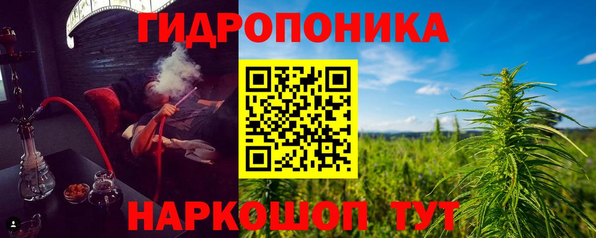 МАРИХУАНА сатива Менделеевск